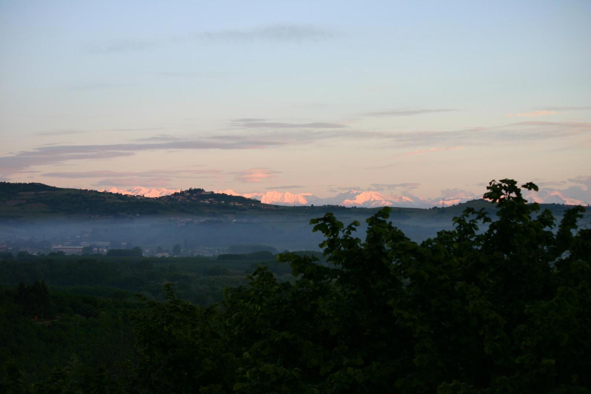 Bed and Breakfast Cascina La Corte Нейве Экстерьер фото