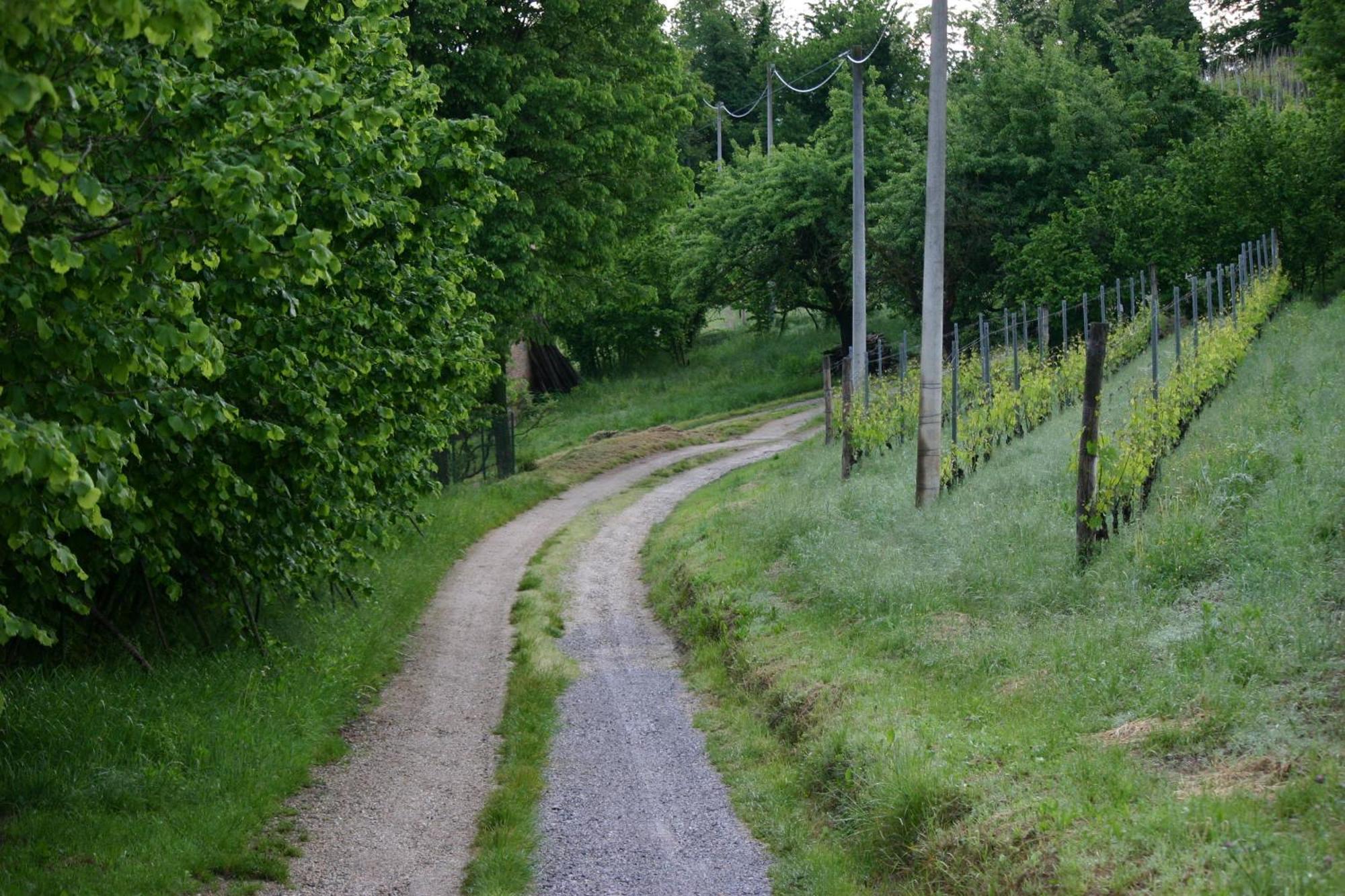 Bed and Breakfast Cascina La Corte Нейве Экстерьер фото