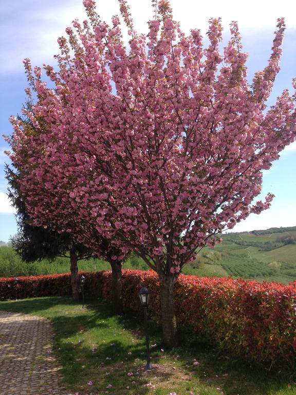 Bed and Breakfast Cascina La Corte Нейве Экстерьер фото